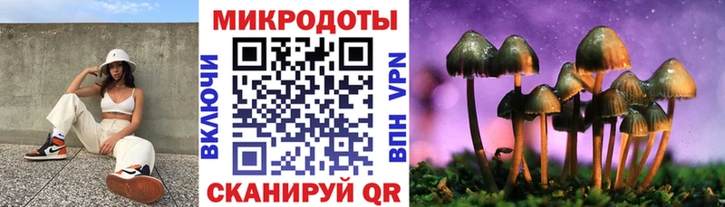 Галлюциногенные грибы MAGIC MUSHROOMS  Десногорск 